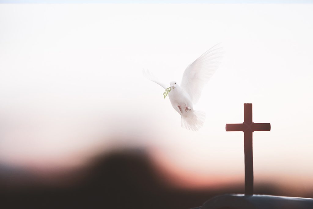 Is there excessive reformation of the Holy Spirit in the Charismatic Church?