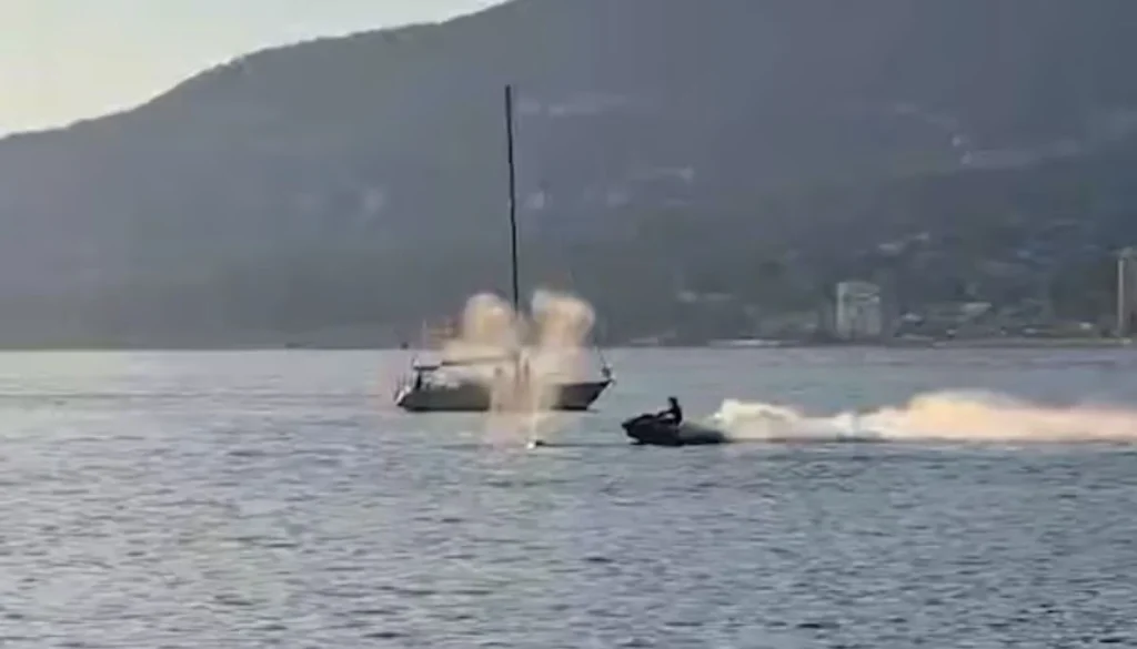 Jet skier collides with gray whale near Vancouver's Stanley Park