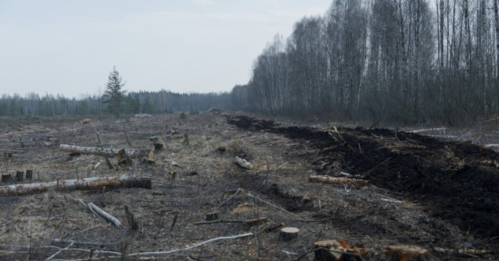 Lithuania's peat bogs could help the climate and also protect the border