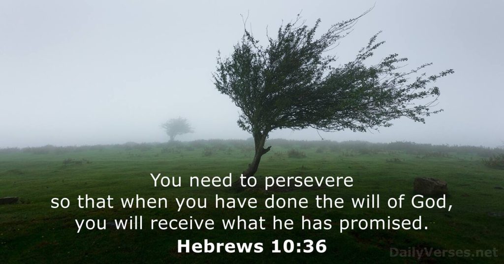 May 11, 2026 - Today's Bible Verse