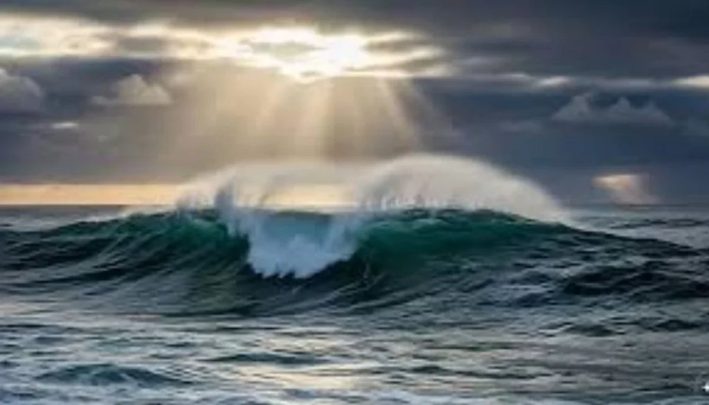 One person dies after being bitten by a shark off Perth's coast