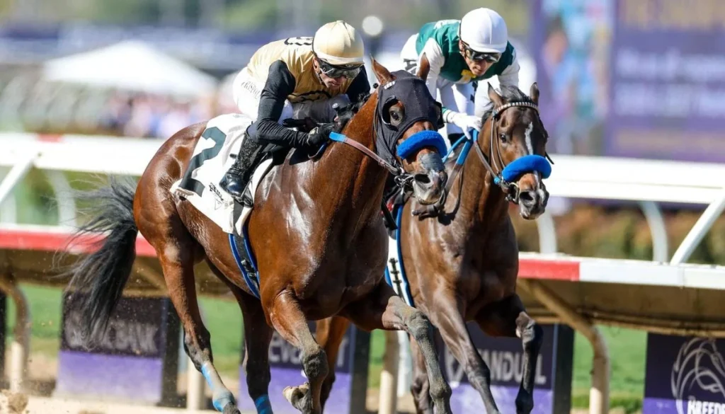 Post timings, odds and experts' picks for Run for the Roses