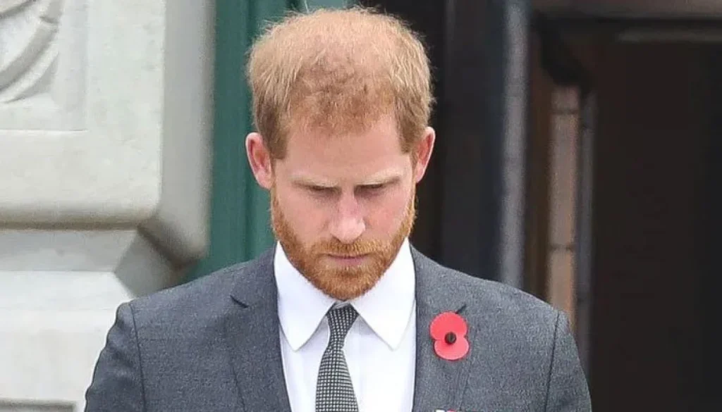Prince Harry has mixed feelings about US trip in charge