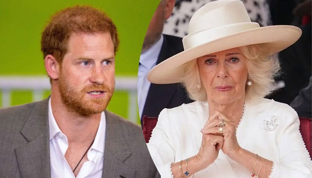 Prince Harry's fears about Queen Camilla revealed: 'She's pouring poison over Charles' head'
