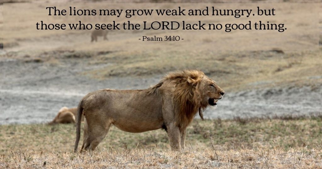 Psalm 34:10 – Daily Wisdom for Sunday, May 31, 2026