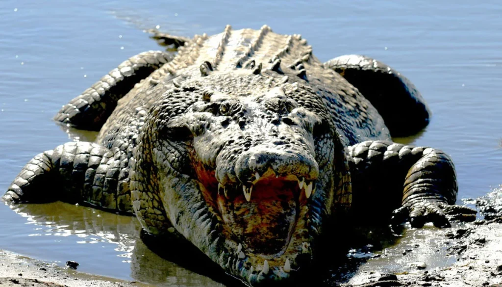Relaxing dip in famous lake turns scary