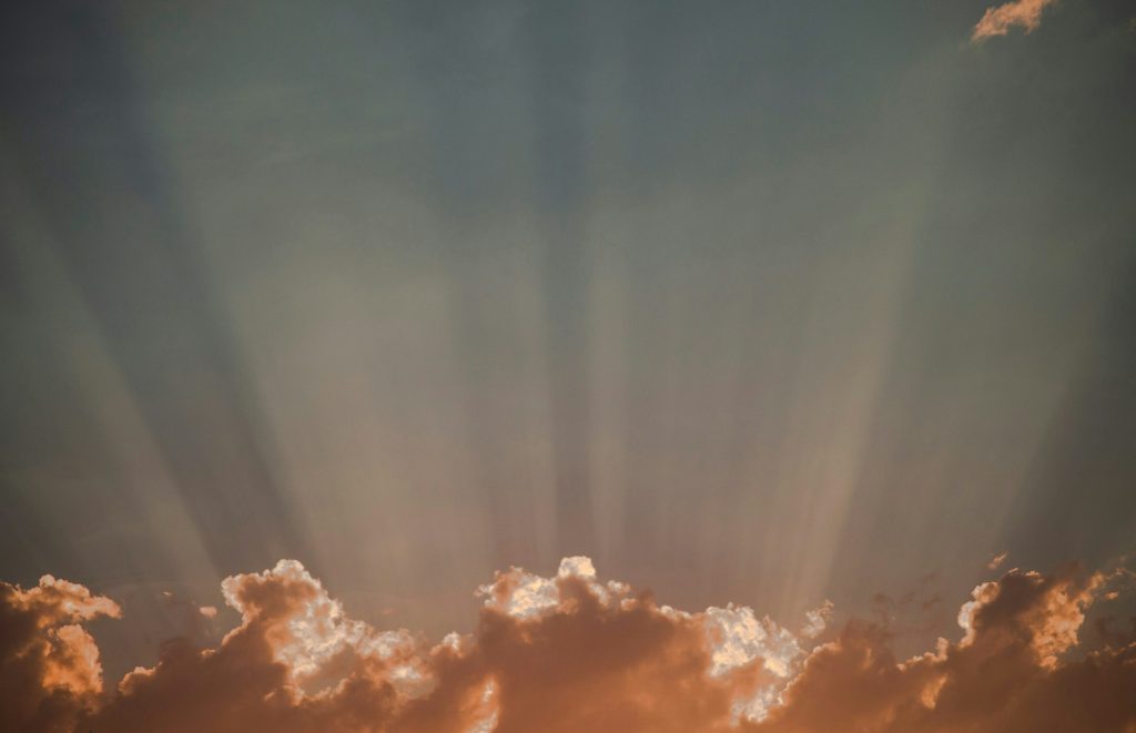 Royalty, Not "Royal Screw-Ups" - Today Daily Devotional