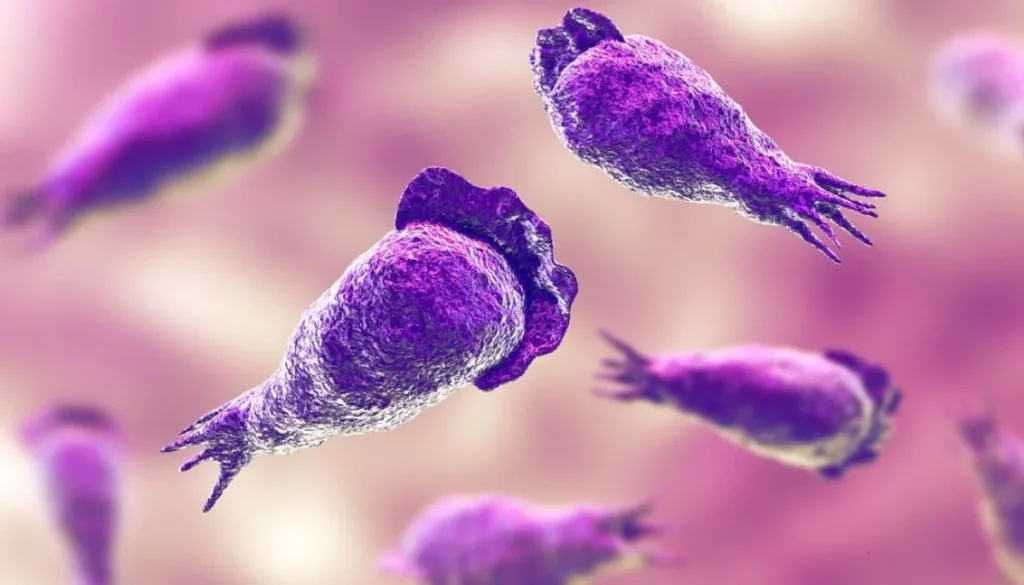 Scientists have expressed concern over the global spread of deadly amoeba.