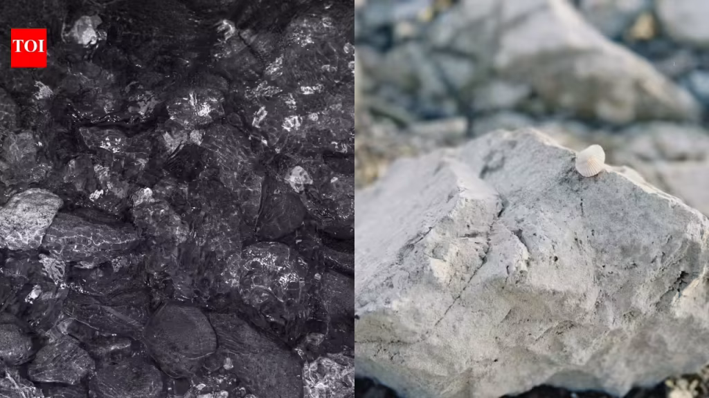 The mystery of the Earth's origin revealed? The secret of the ingredients of life may be hidden in meteorites.