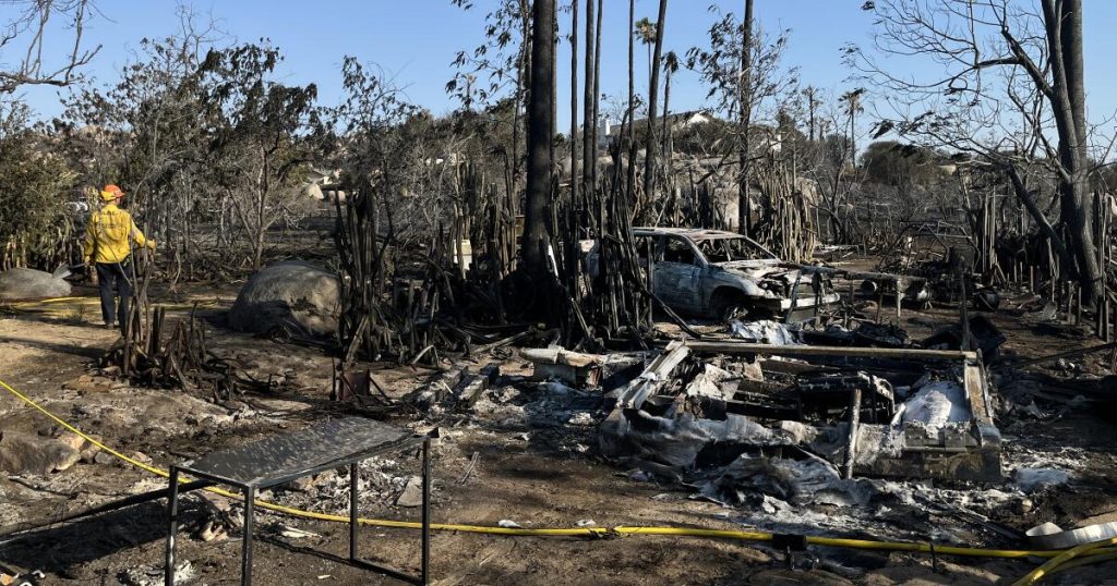 The raging fire burnt millions of his bees. What will happen next worries him