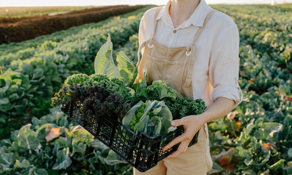 This widely used pesticide may double Parkinson's risk