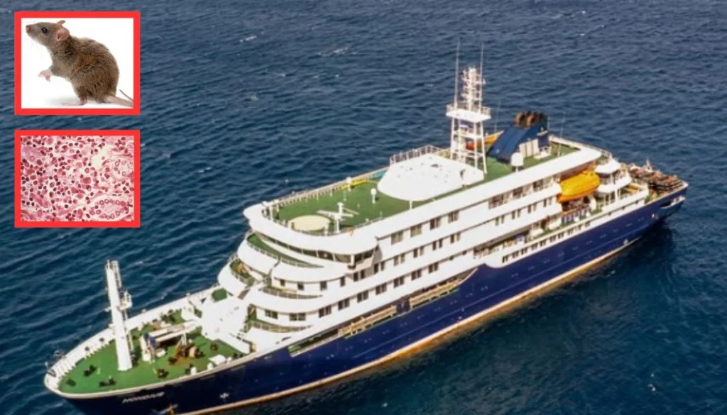 Three die on Atlantic cruise ship after WHO confirms case