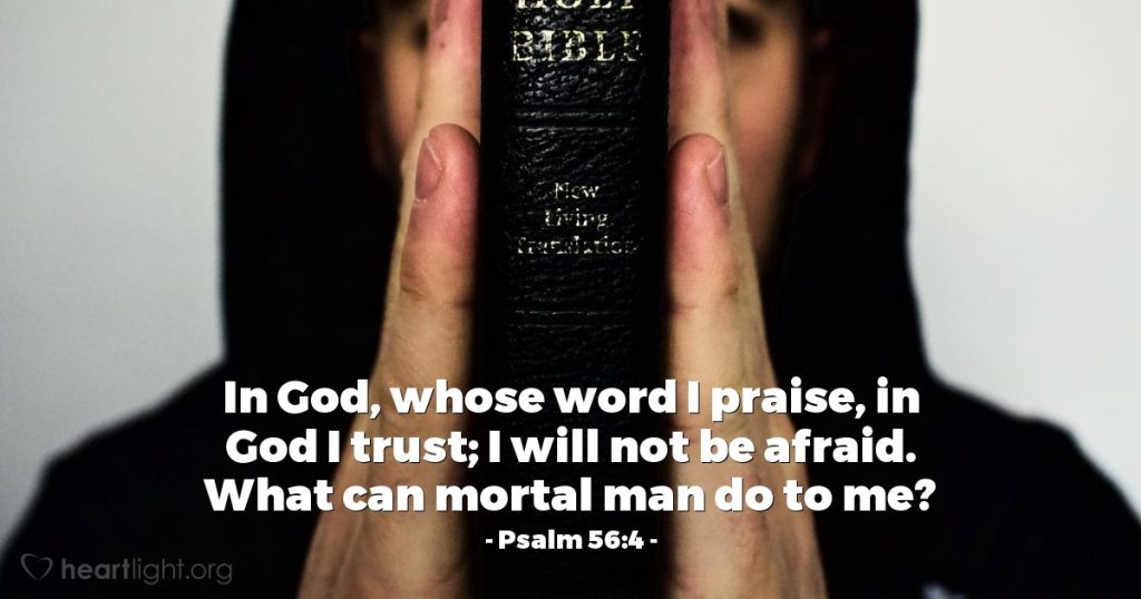Today's Verse - Psalm 56:4