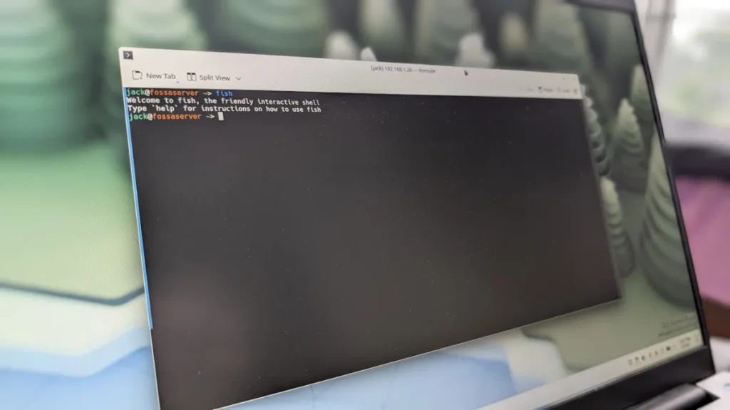 bash vs fish? I've tried both Linux shells, and using a command line makes it much easier