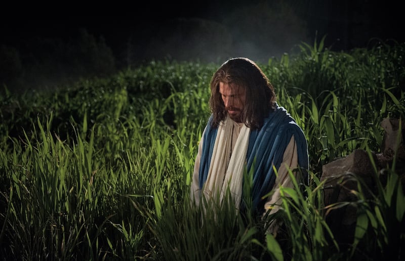 Jesus Christ kneels in Gethsemane in this screenshot from the Bible Videos of The Church of Jesus Christ of Latter-day Saints.