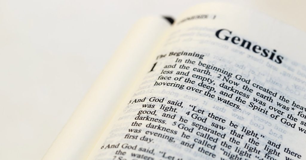 The Soft Gap Theory: Evolution and the Bible Reconciled?