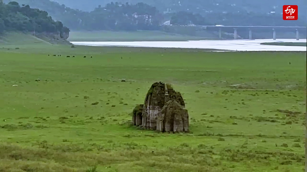 Forgotten Oustees: Bilaspur Still Struggles For Justice Decades After Building Bhakra Dam