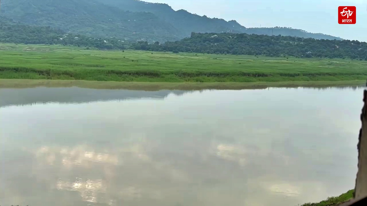 Forgotten Oustees: Bilaspur Still Struggles For Justice Decades After Building Bhakra Dam
