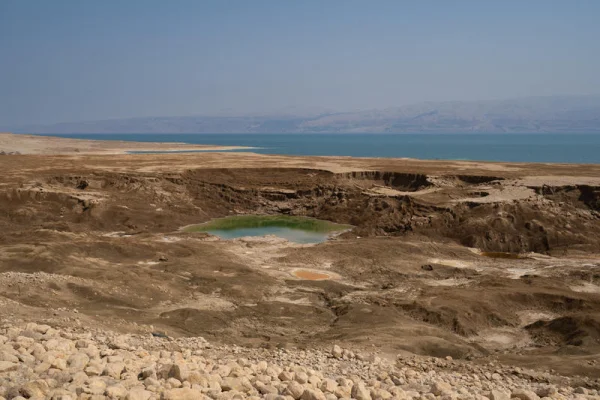 Life found in sinkholes beside Israel’s Dead Sea stirs excitement about biblical prophecy Life found in sinkholes beside Israel's Dead Sea stirs excitement about biblical prophecy